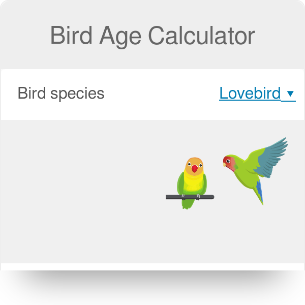 Bird Age Calculator - How Old Is My Bird