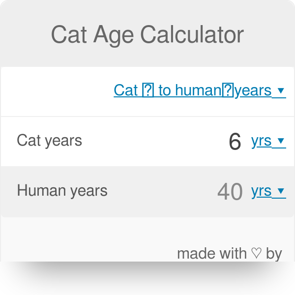 are cat years measured the same as dog years