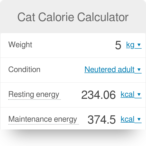 Replying to @Pablo SRT my cat bas 3000 calories #gym #macros