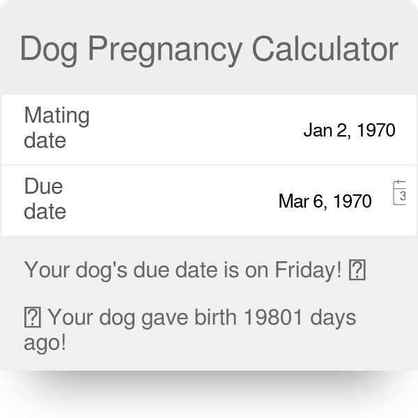 Dog Pregnancy Chart