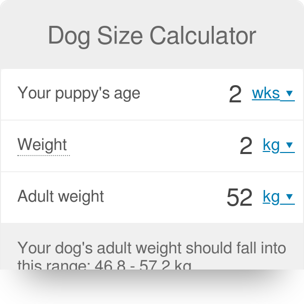 Dog Weight Calculator - How Big Will Your Puppy Get? - Inch Calculator