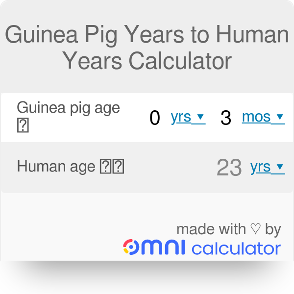 Guinea Pig Years to Human Years Calculator