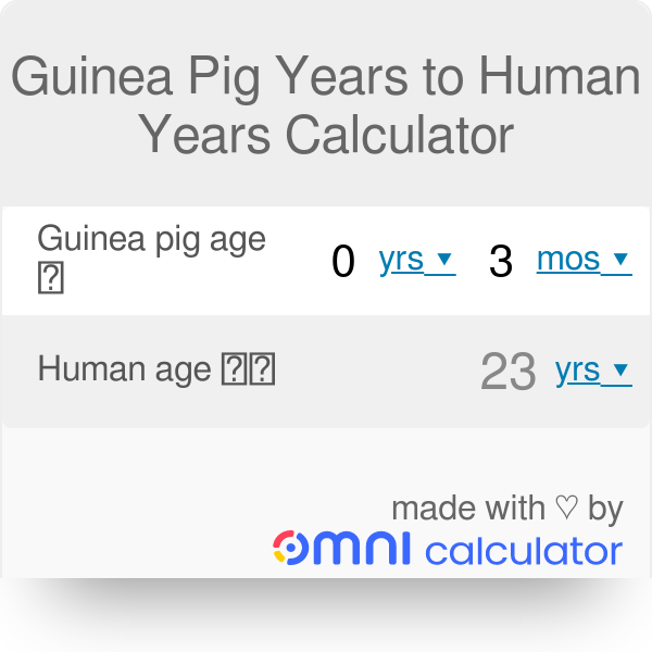 Guinea pig years to human sale years