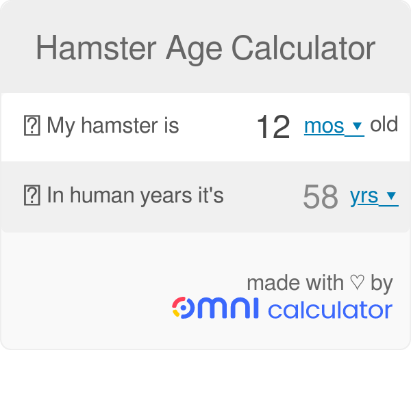 Calculate hamster age in human years (equivalence)