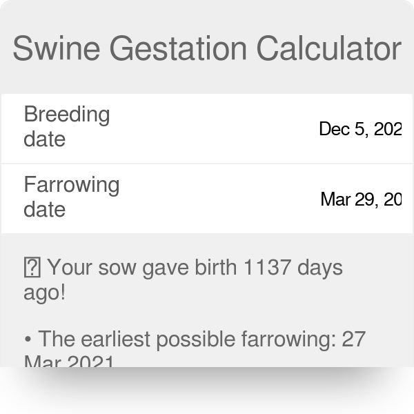 Swine Gestation Calculator Date Of Farrowing