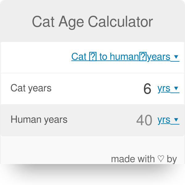 cat years and human years chart