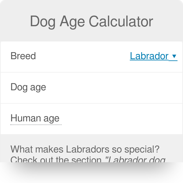 Dog Age Chart By Years